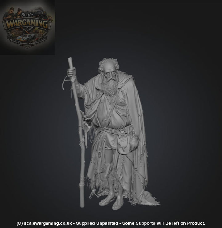 SW2181 Ancient Pilgrim - Figure