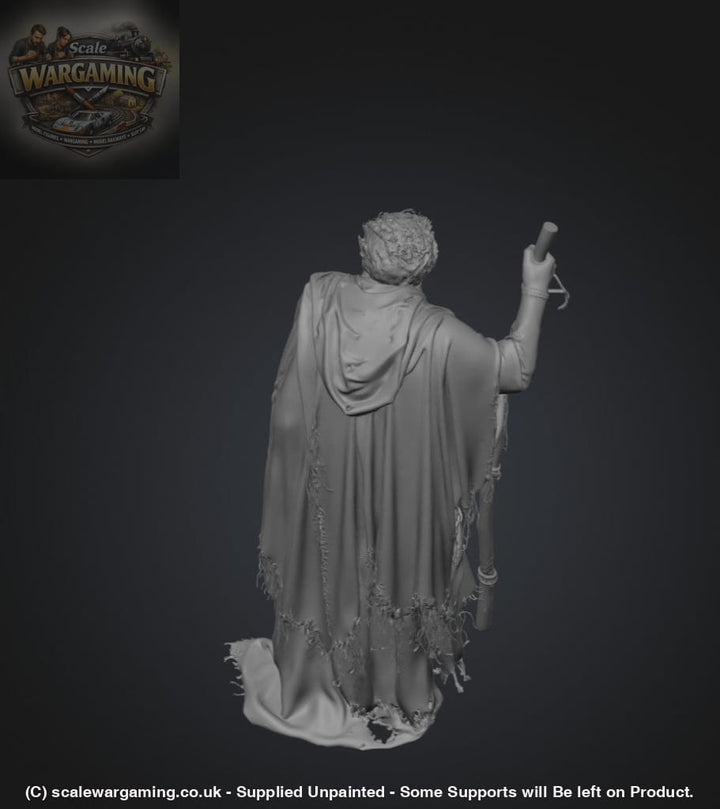 SW2181 Ancient Pilgrim - Figure