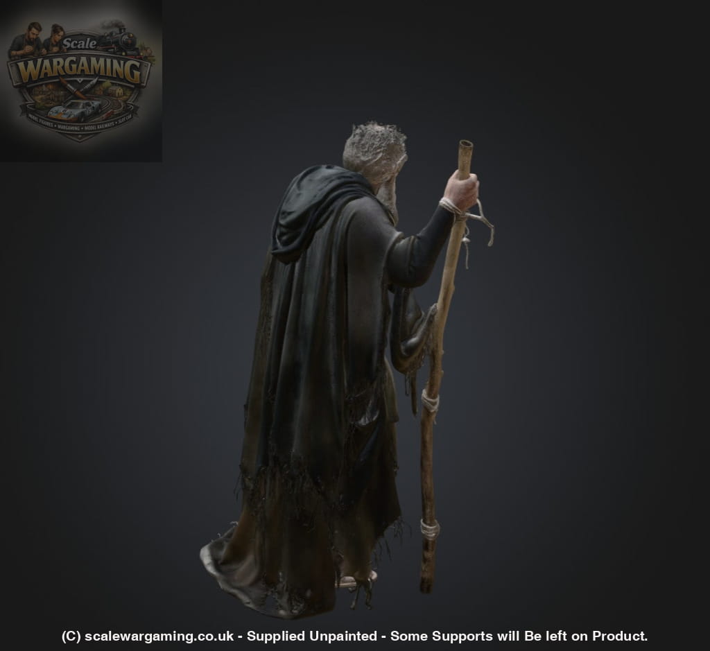SW2181 Ancient Pilgrim - Figure