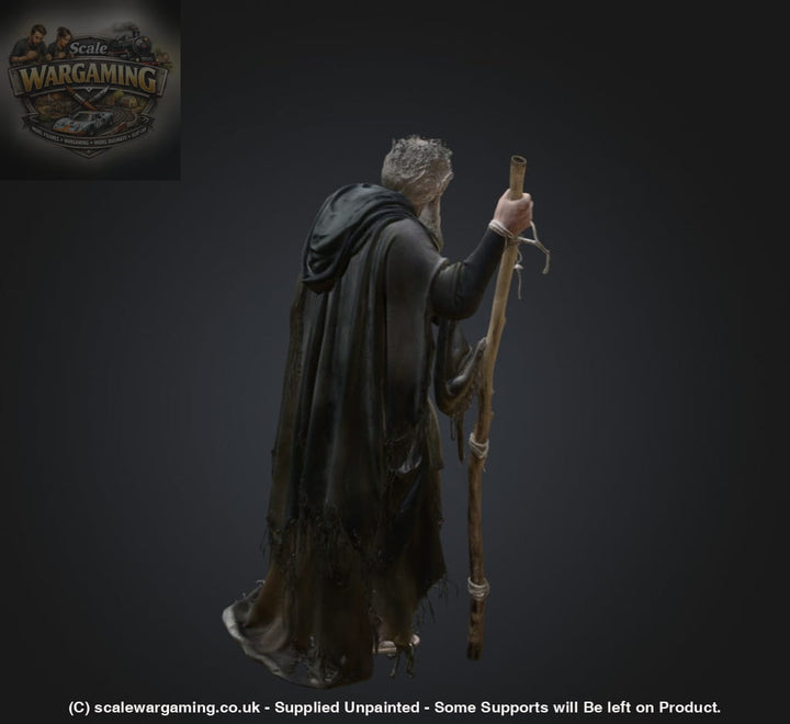 SW2181 Ancient Pilgrim - Figure