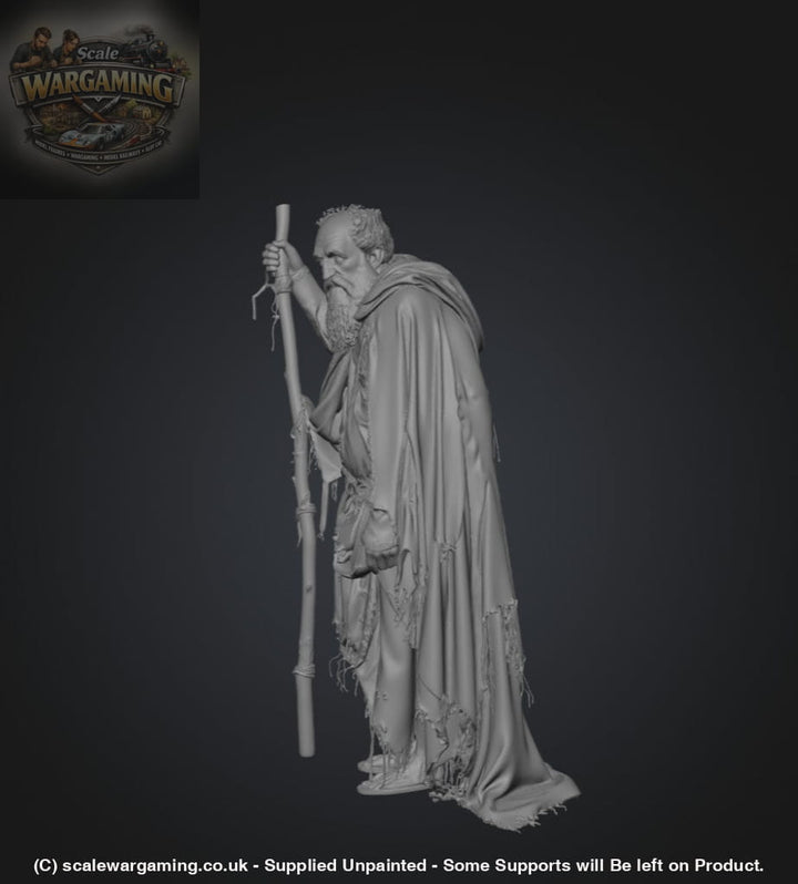 SW2181 Ancient Pilgrim - Figure