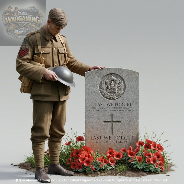 SW3049 Remembering The Fallen - Figure
