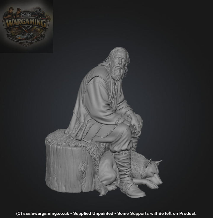SW3118 Medieval Male Sitting with Dog - Figure