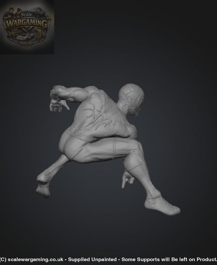 SW5011 Spiderman - Figure