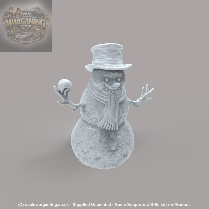 SW6020 Christmas Scenes - Snowman - Figure