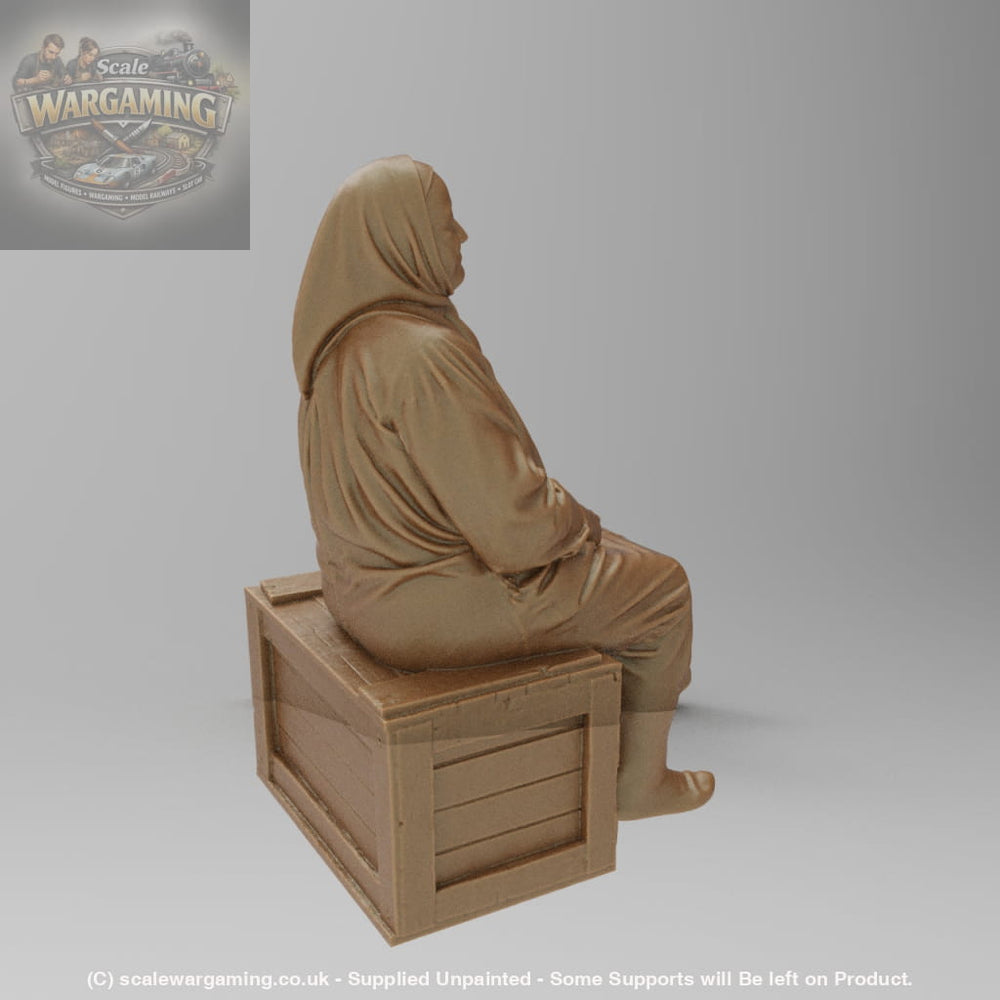 SW8176 Farm Pensioner resting on Box - Figure