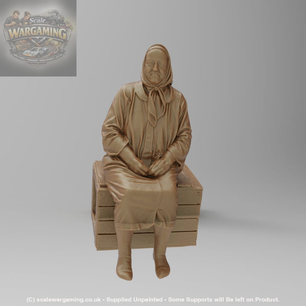 SW8176 Farm Pensioner resting on Box - Figure