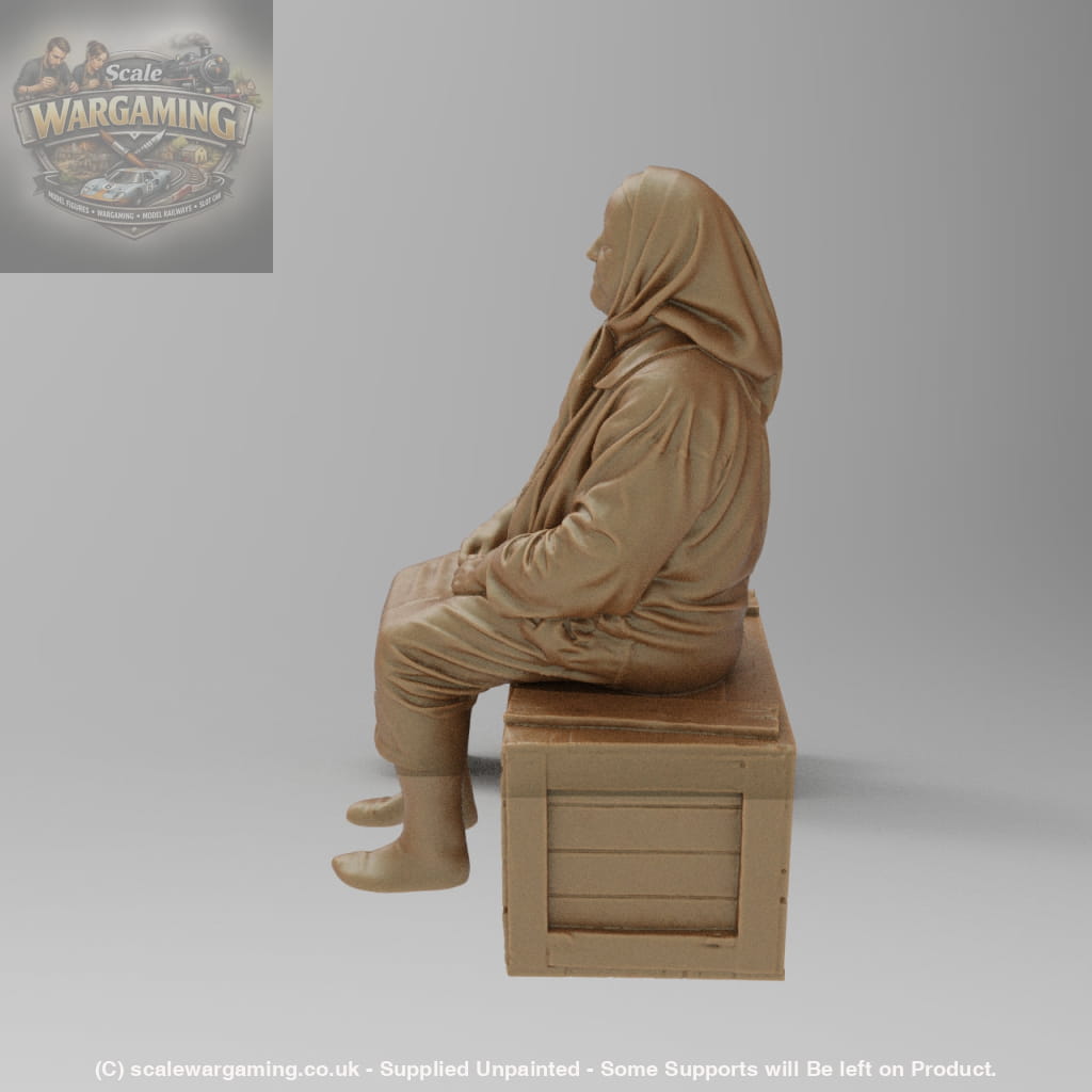 SW8176 Farm Pensioner resting on Box - Figure