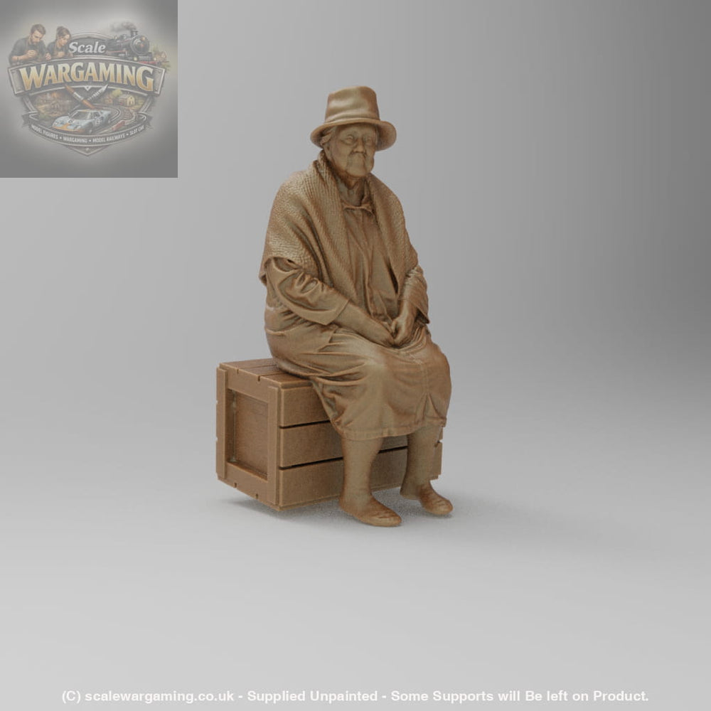 SW8177 Pensioner resting on Box - Figure
