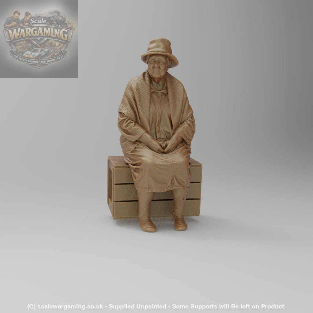 SW8177 Pensioner resting on Box - Figure
