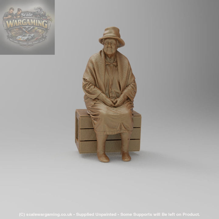 SW8177 Pensioner resting on Box - Figure