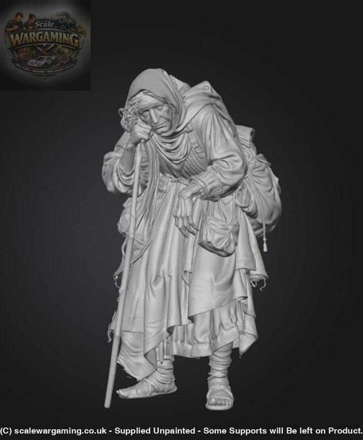 SW9000 Medieval Wandering Old Lady - Figure