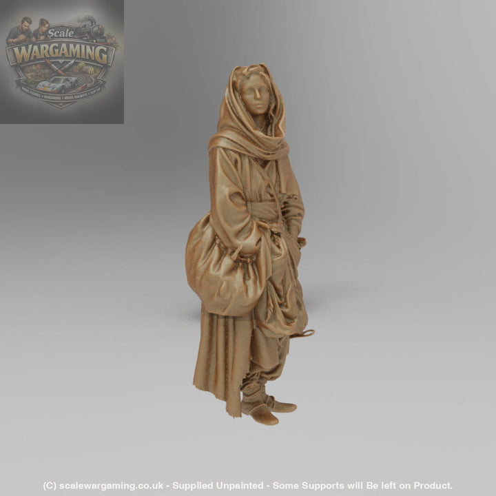 SW9004 Medieval Cloaked wonderer - Figure