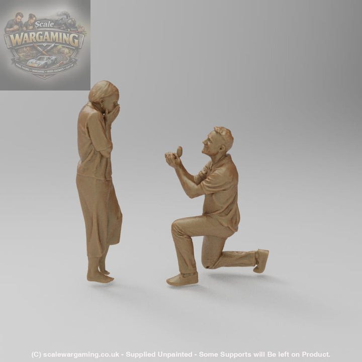 SW9187 The Proposal - Figure