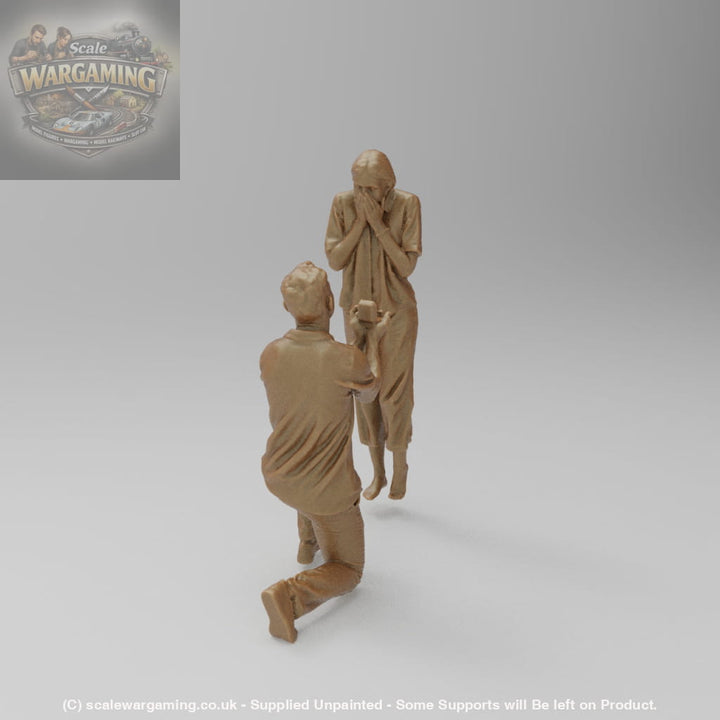 SW9187 The Proposal - Figure