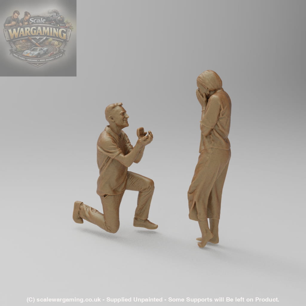SW9187 The Proposal - Figure