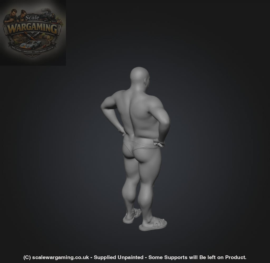 SW9219 Male Budgie Smuggler - Figure