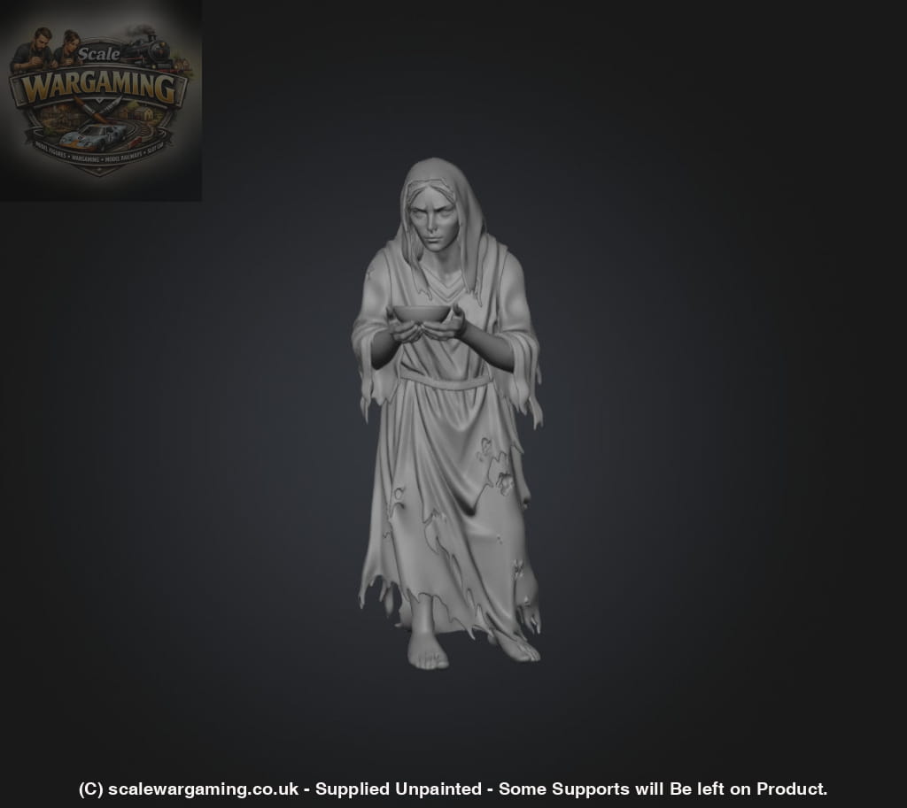 SW9231 Female Begger - Figure