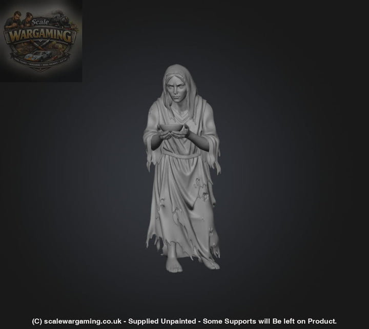 SW9231 Female Begger - Figure