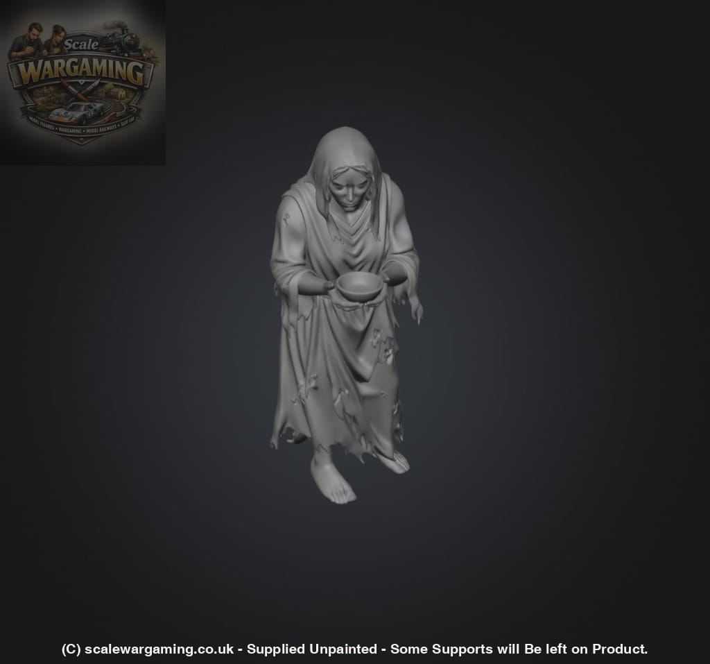 SW9231 Female Begger - Figure