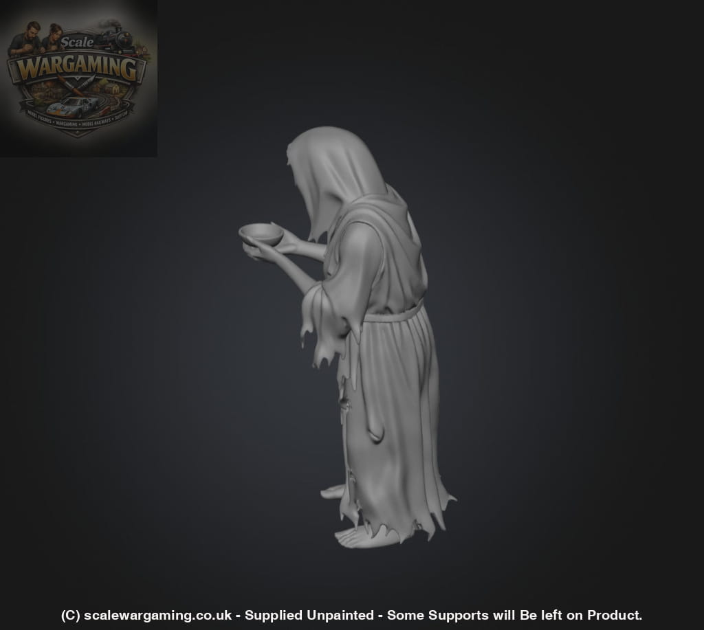SW9231 Female Begger - Figure