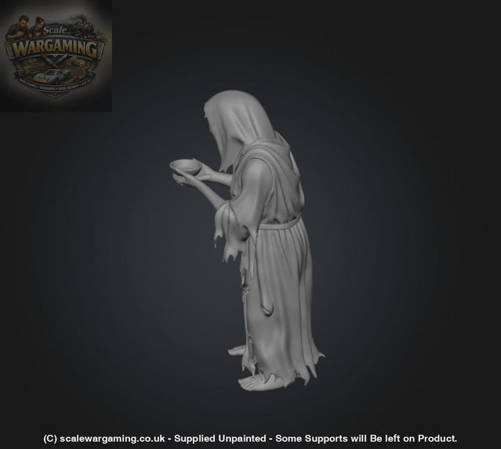 SW9231 Female Begger - Figure