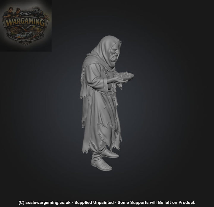 SW9233 Male Begging - Figure