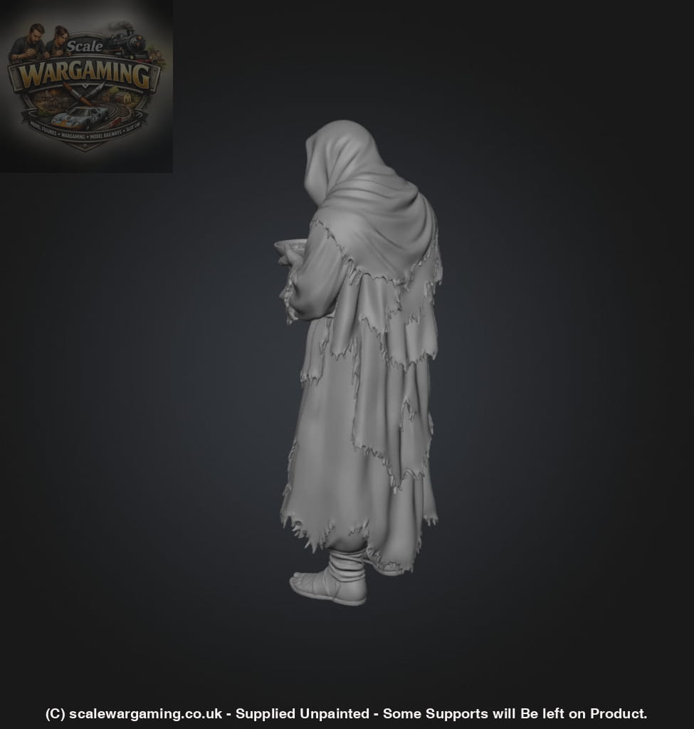 SW9233 Male Begging - Figure