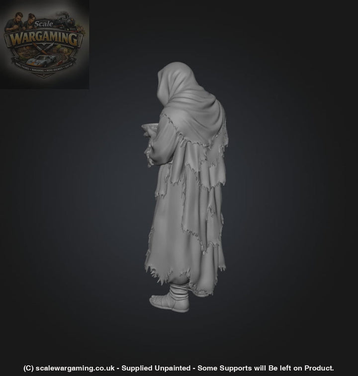 SW9233 Male Begging - Figure