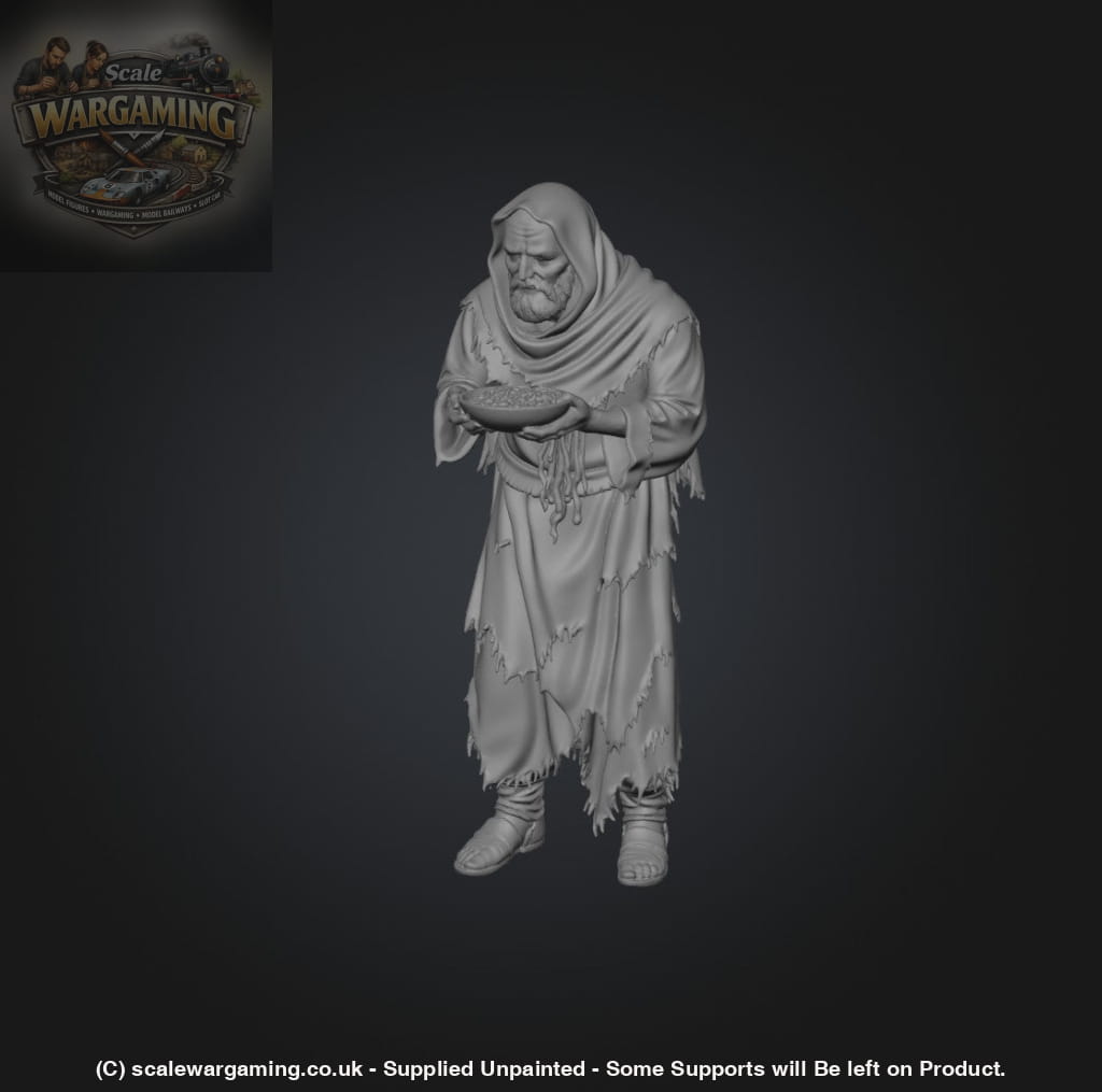 SW9233 Male Begging - Figure
