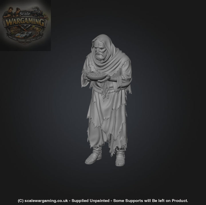 SW9233 Male Begging - Figure