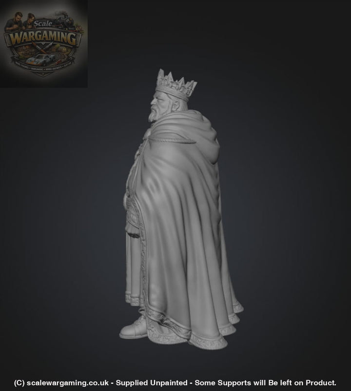 SW9266 Medieval King - Figure