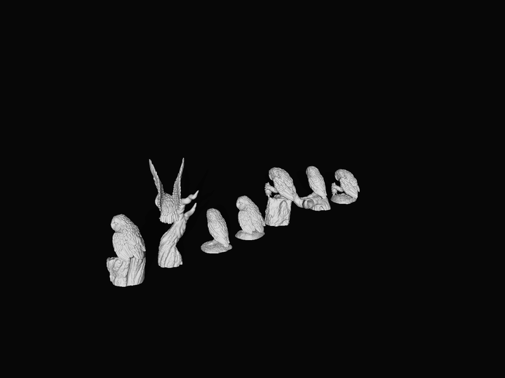 SWB007 Barn Owls Set